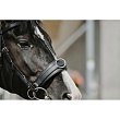 norton-wide-cavesson-2