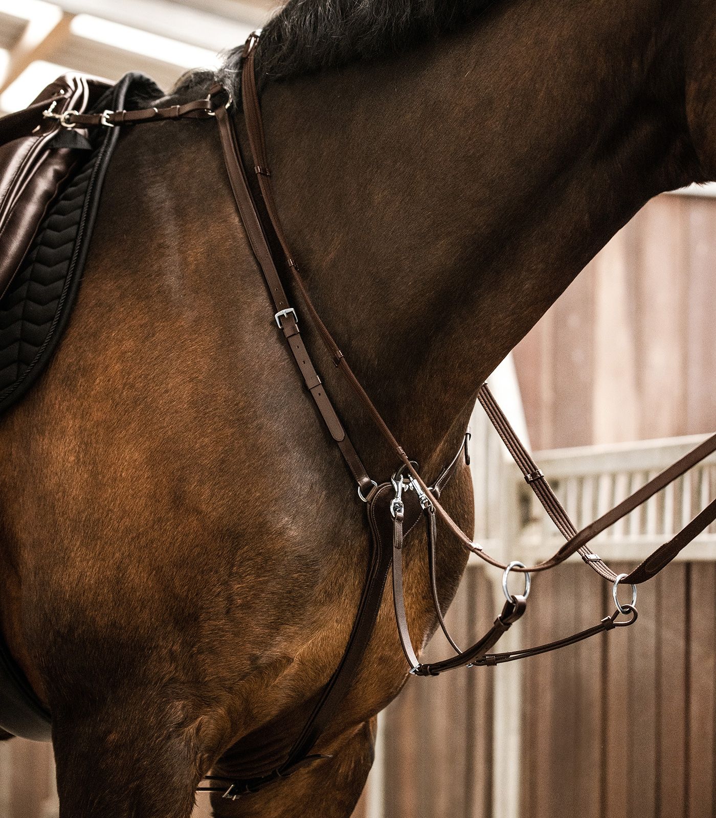9579530-VB_7_1920x1920