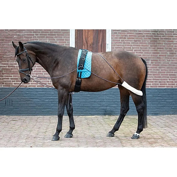 Шлея Пессоа тренировочная система Harry's Horse Синия